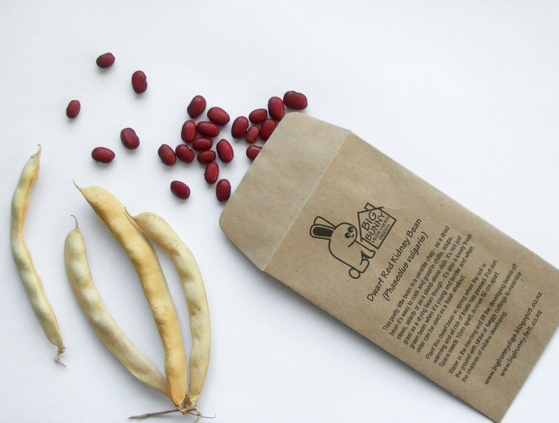 Big Bunny Seeds