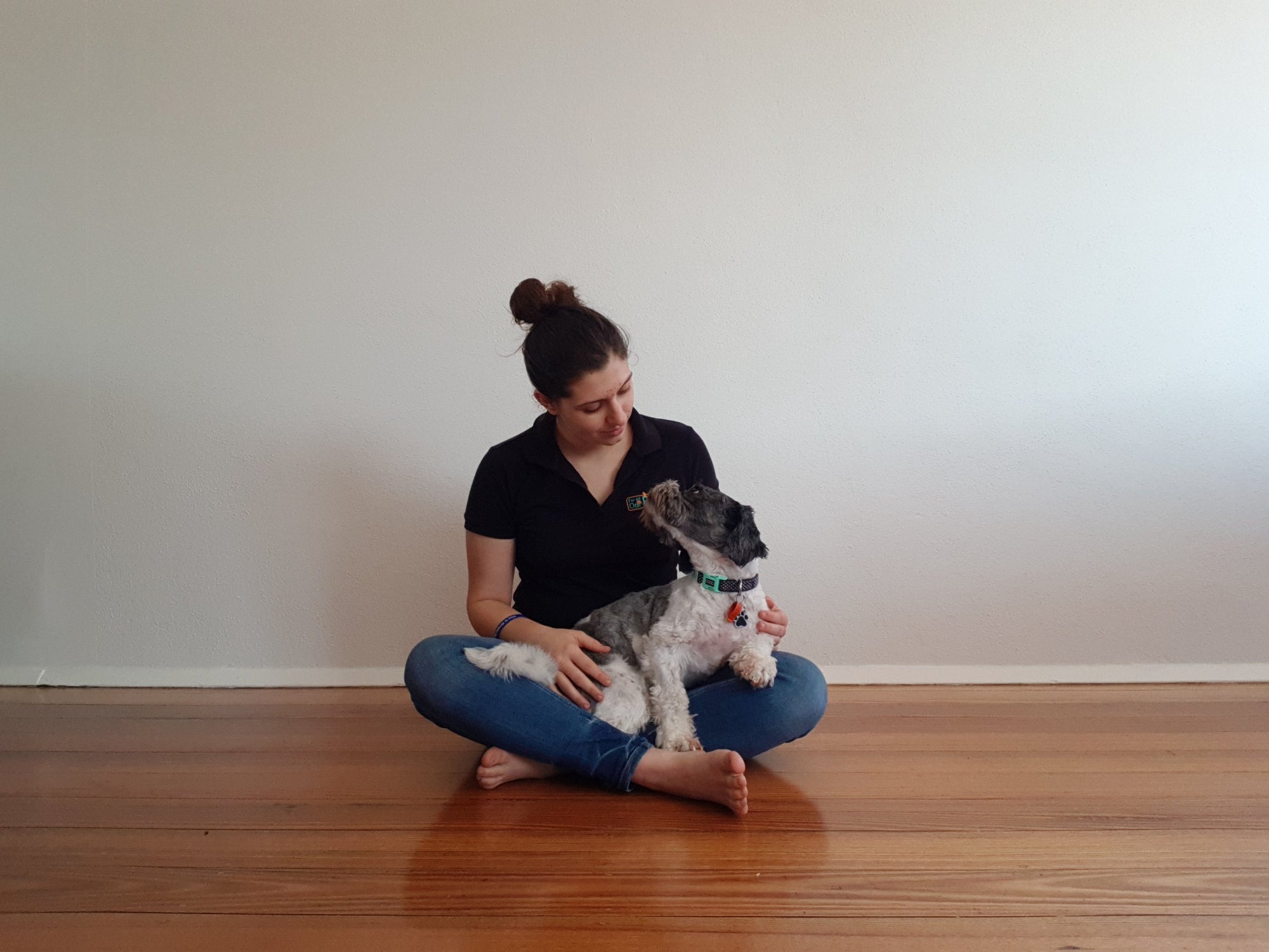 For All Our Pets