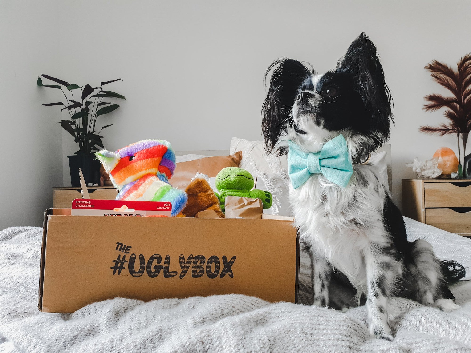 UglyBox Shop