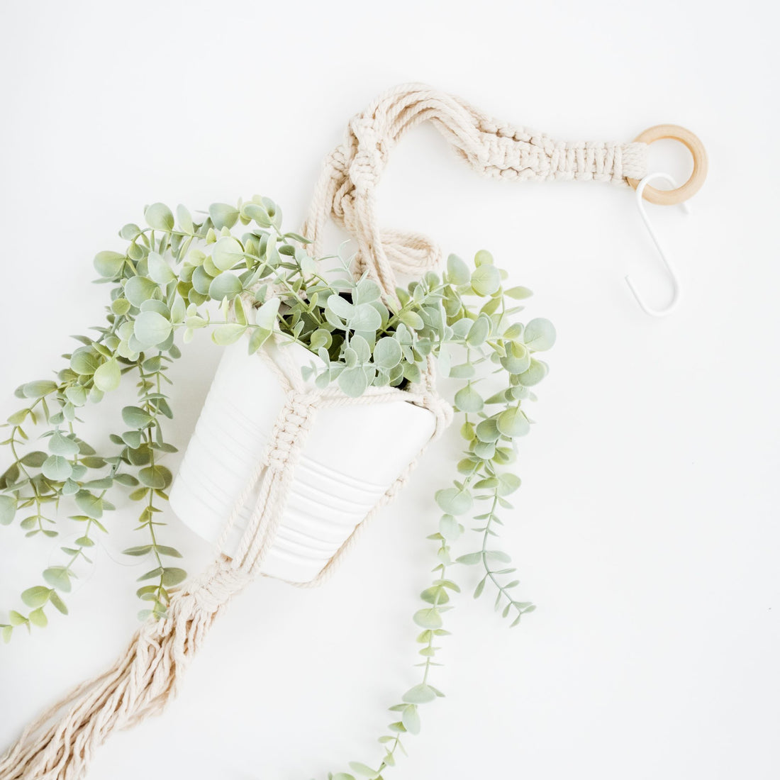 Knot Just Cords