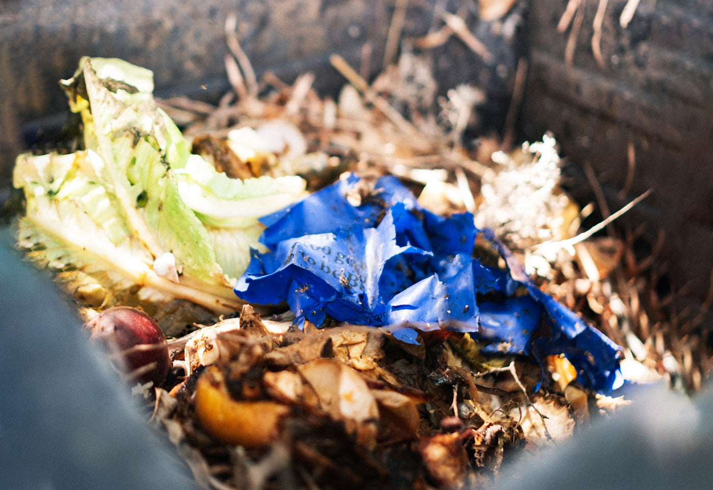 What is Compostable Packaging Better Packaging Co Blog